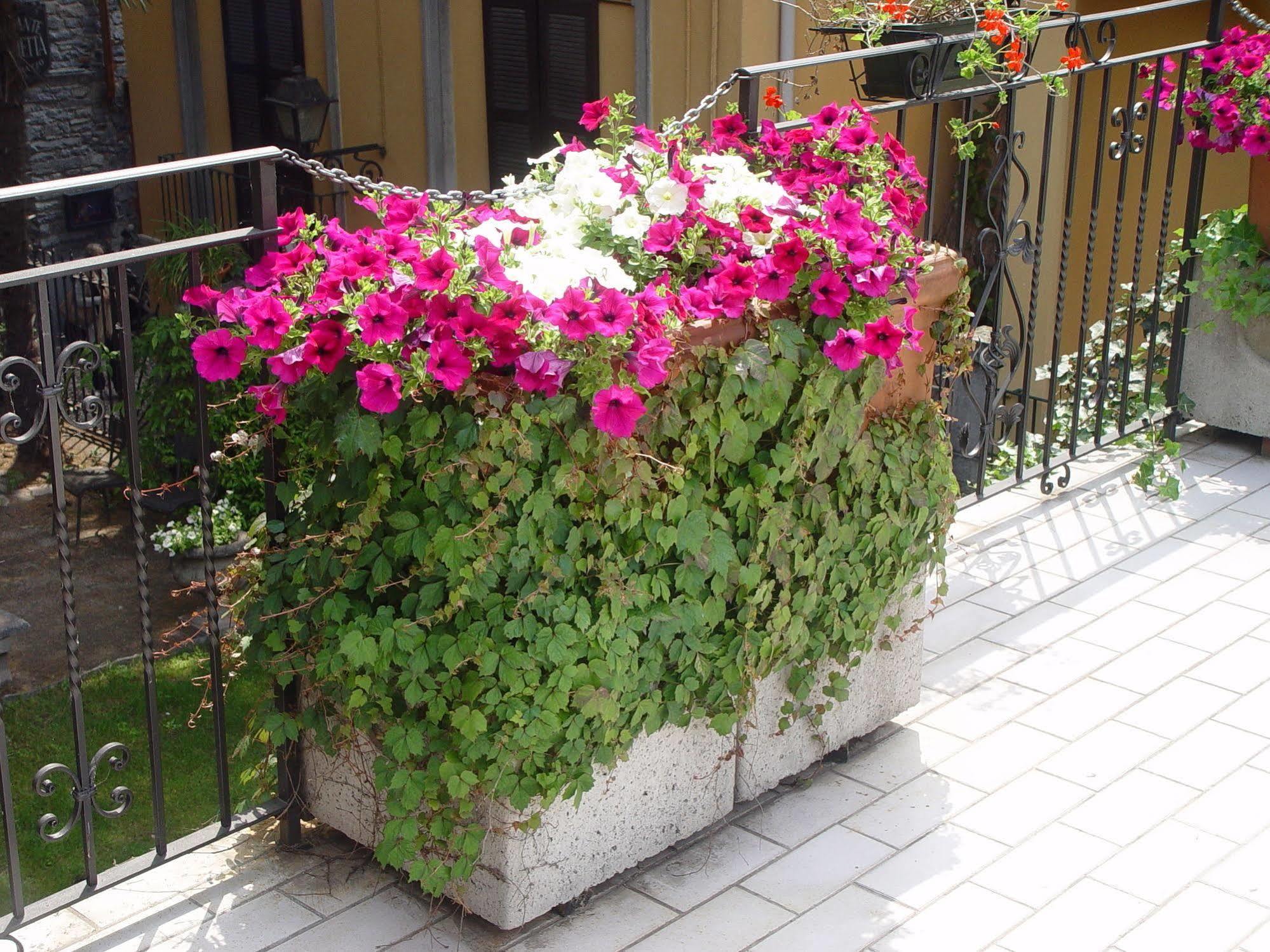 Hotel Centrale Bellagio Exterior photo