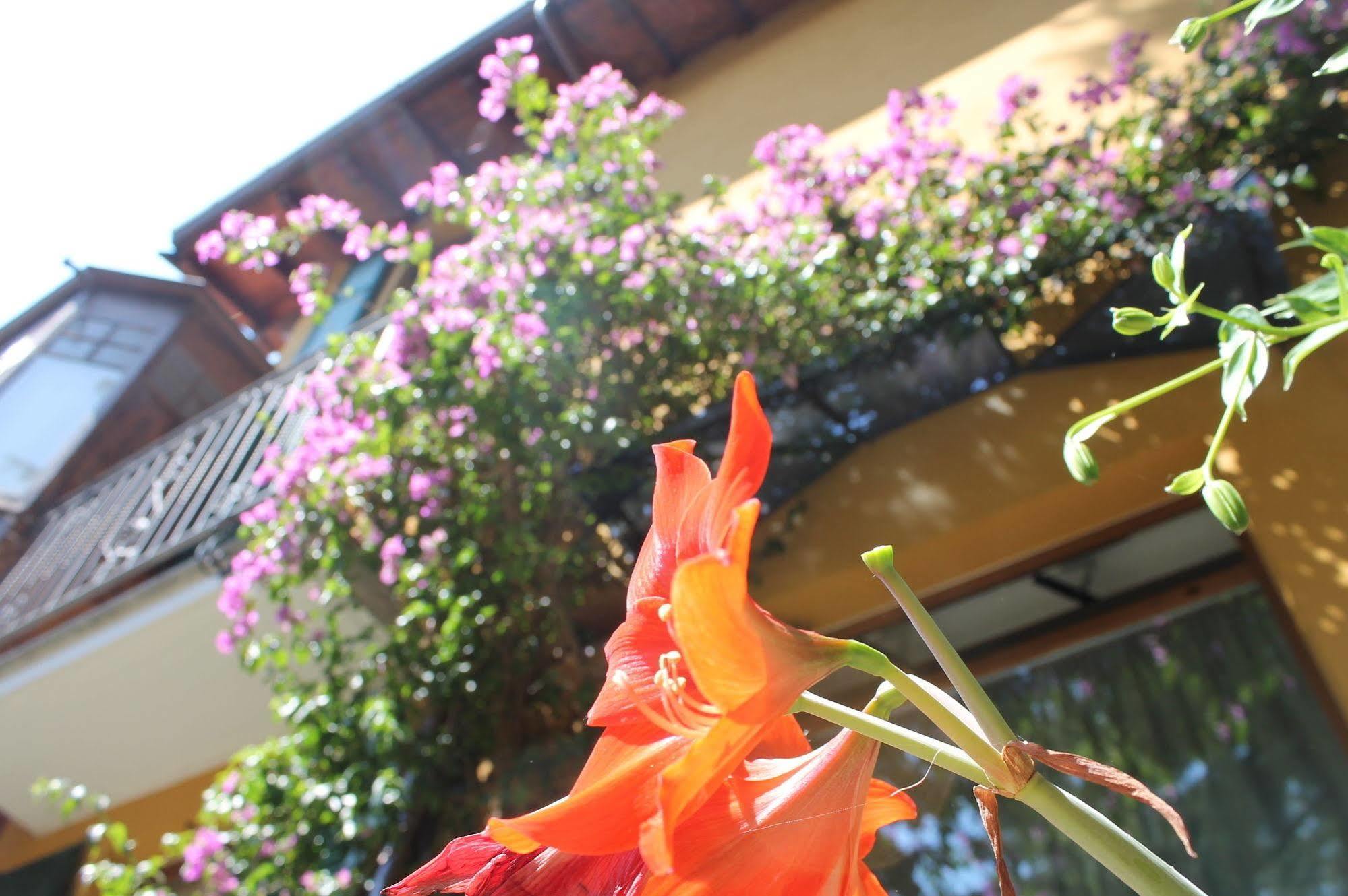 Hotel Centrale Bellagio Exterior photo